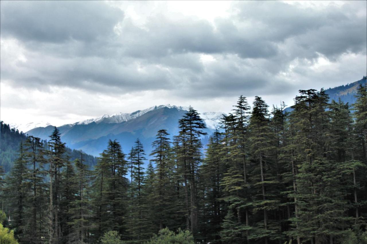 Nirvana Hills Manali (Himachal Pradesh) Exterior photo